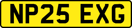 NP25EXG