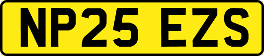 NP25EZS