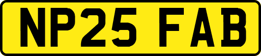 NP25FAB