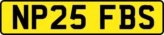 NP25FBS