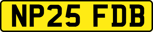 NP25FDB