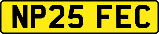 NP25FEC
