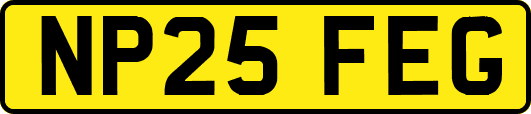 NP25FEG