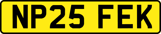 NP25FEK