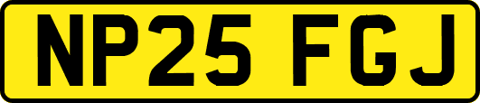 NP25FGJ