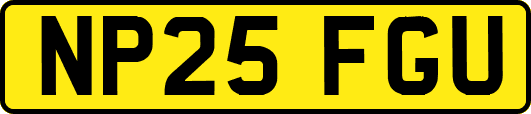 NP25FGU