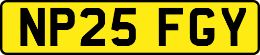 NP25FGY