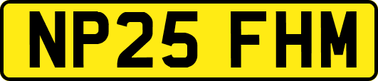 NP25FHM