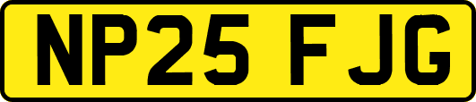 NP25FJG