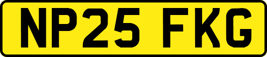 NP25FKG