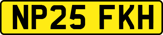 NP25FKH