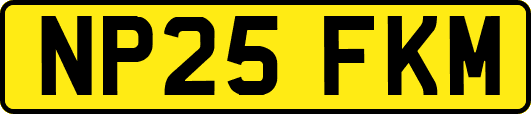 NP25FKM