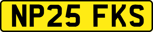 NP25FKS