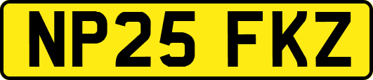 NP25FKZ