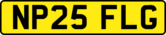 NP25FLG