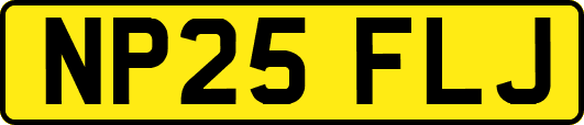 NP25FLJ