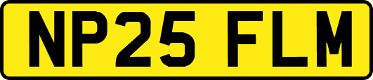 NP25FLM