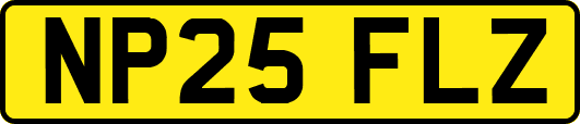 NP25FLZ