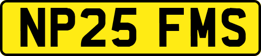NP25FMS
