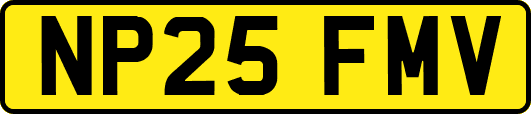 NP25FMV