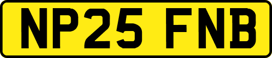 NP25FNB