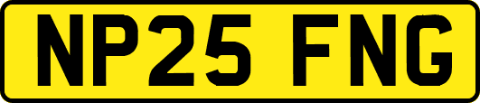 NP25FNG