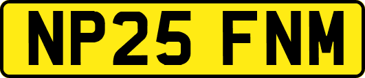 NP25FNM