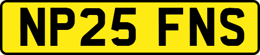 NP25FNS