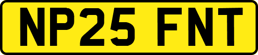 NP25FNT