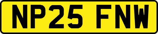 NP25FNW