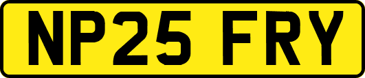 NP25FRY