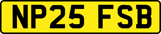 NP25FSB