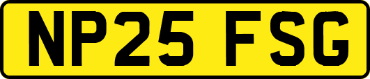 NP25FSG