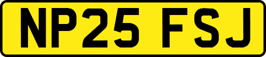 NP25FSJ