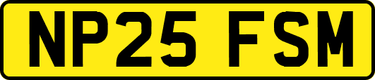 NP25FSM