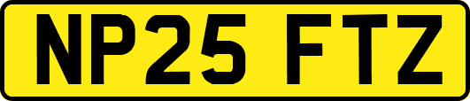 NP25FTZ