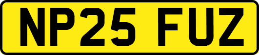 NP25FUZ