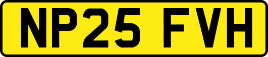 NP25FVH