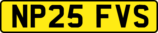 NP25FVS