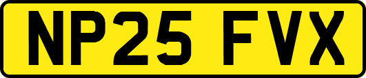 NP25FVX