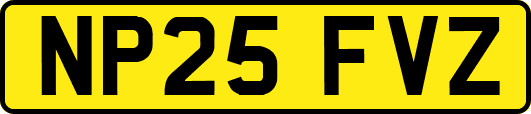 NP25FVZ