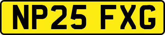 NP25FXG