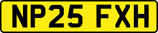 NP25FXH