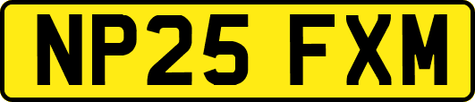NP25FXM