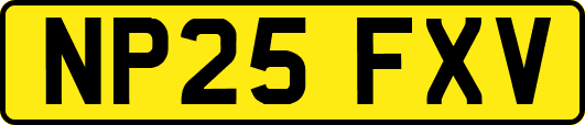 NP25FXV