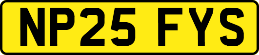 NP25FYS