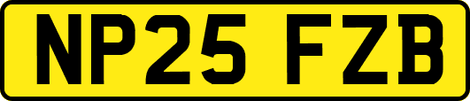 NP25FZB