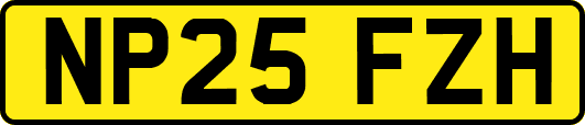NP25FZH