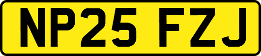 NP25FZJ