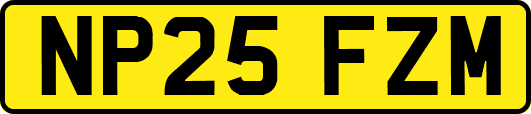 NP25FZM